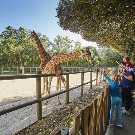 公寓 200m De La Grande Plage, 2 Adultes 2 Enfants 莱萨布勒-多洛讷