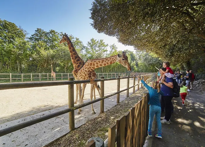 Appartamento 200m De La Grande Plage, 2 Adultes 2 Enfants Les Sables-dʼOlonne